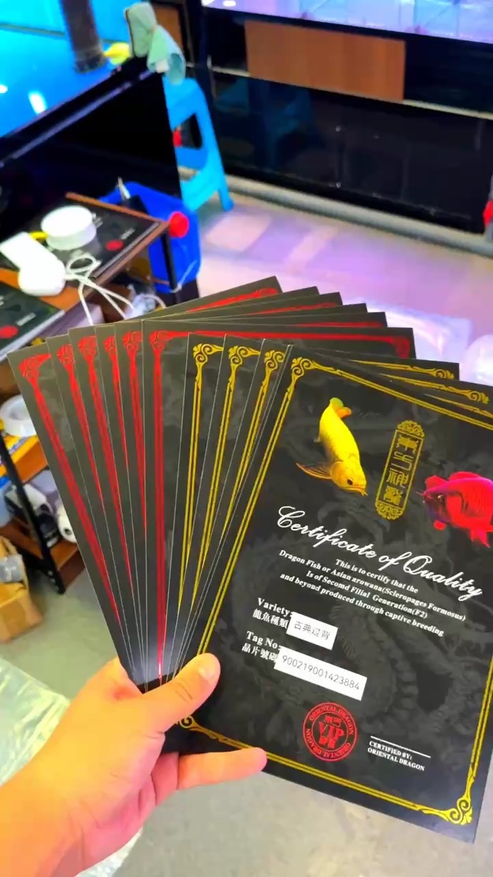 發貨，“發貨”是至關重要的一環，倉庫人員迅速行動，鯊魚辣椒mvp評論