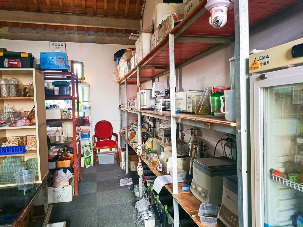 水草栽培學，水草栽培學——水草栽培學 水草栽培學，水草栽培學——水草栽培學 龍魚論壇 第8張