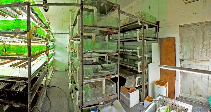 水草栽培學，水草栽培學——水草栽培學 水草栽培學，水草栽培學——水草栽培學 龍魚論壇 第9張