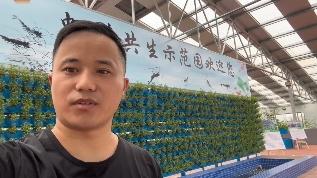 品鮮，“品鮮”品鮮