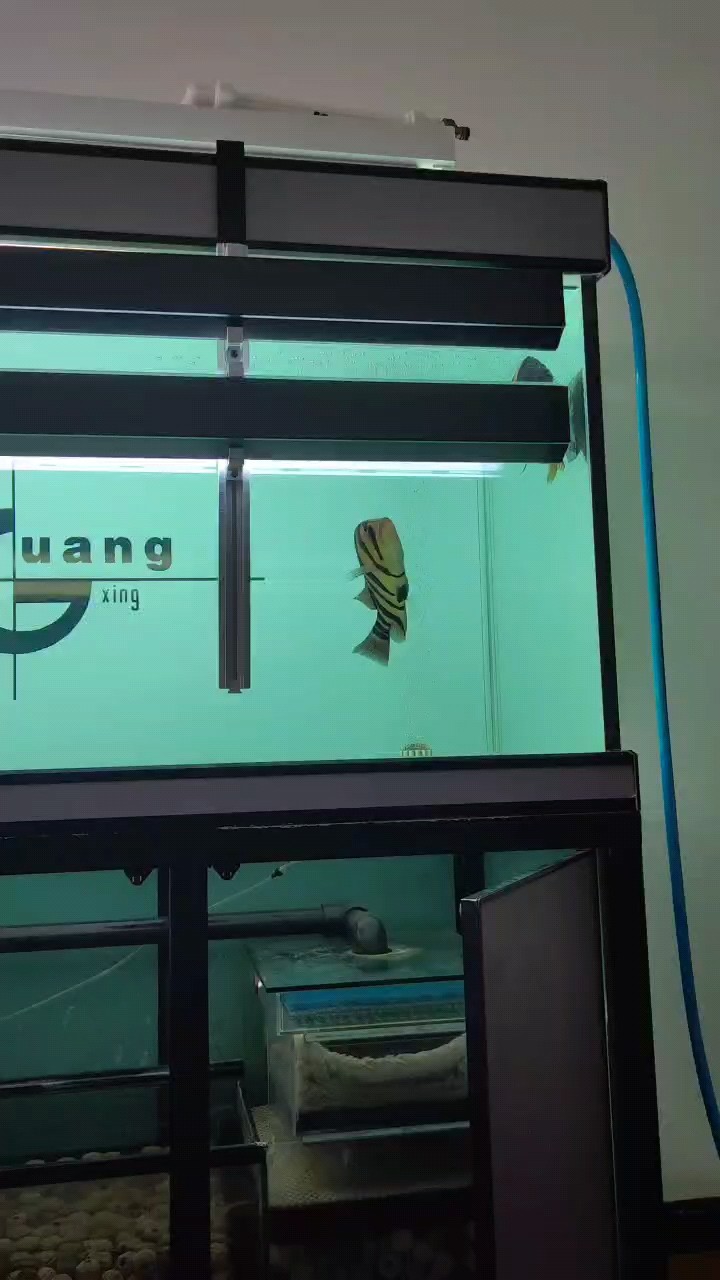 換水記錄，《換水記錄》