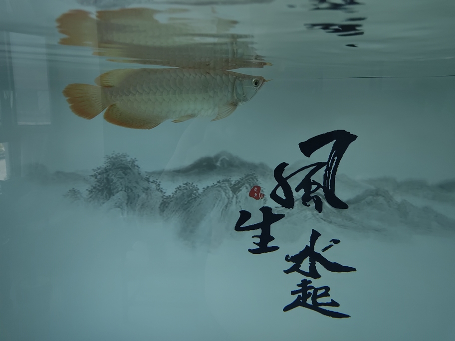 不要吃太多，《不要吃太多》“不要吃太多”這一簡單卻重要的理念