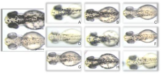 許昌龍魚專賣店