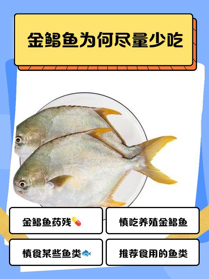 金鯧魚為何被國家禁了【金鯧魚被國家全面禁止養殖和銷售】