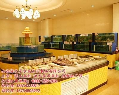 水族箱的養(yǎng)護(hù)秘籍：<strong><mark>山西</mark></strong>海之星水族工藝制品有限公司