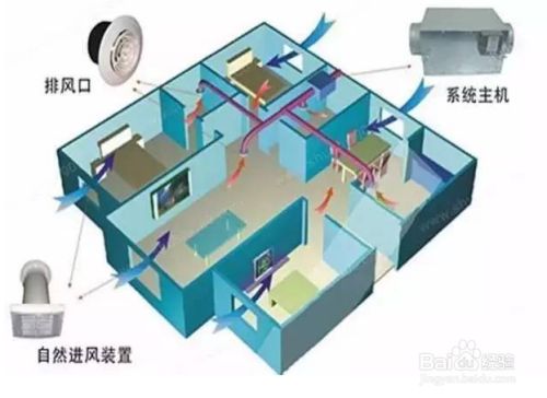 魚缸水溫異常的處理方法：如何自然調節魚缸水溫