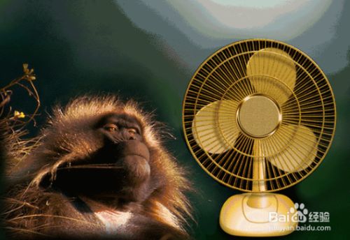 魚缸水溫異常的處理方法：如何自然調節魚缸水溫