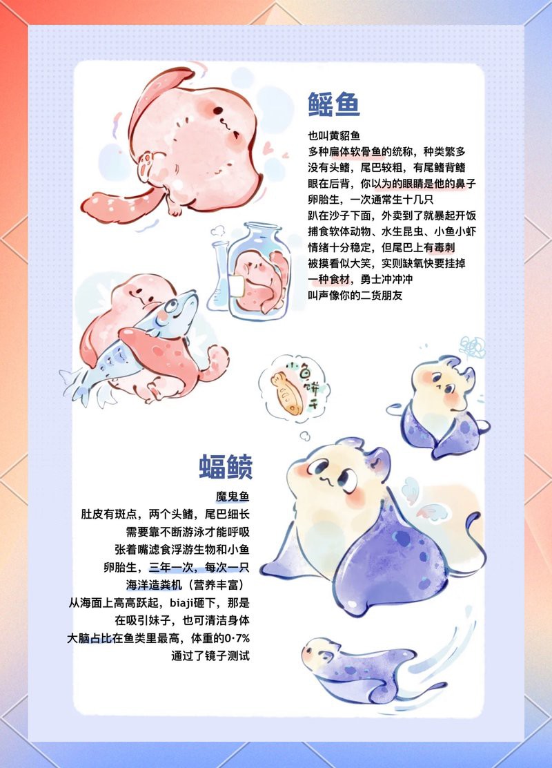 蝠鲼是鰩魚嗎【蝠[需手動填充]和鰩魚的區別】 蝠鲼是鰩魚嗎【蝠[需手動填充]和鰩魚的區別】 龍魚論壇 第4張