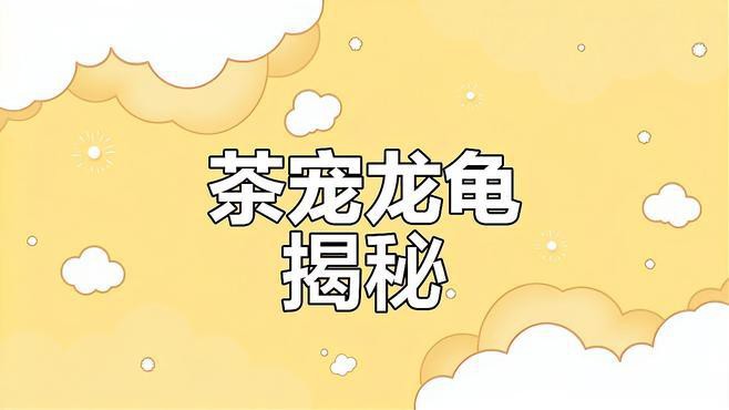 龍頭龜身神獸有哪些著名的文物遺存？【龍頭龜身神獸的象征意義是什么？】