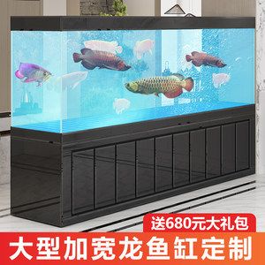 龍魚最小用多大缸：養一條龍魚最小用多大的缸