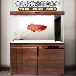 養(yǎng)龍魚的魚缸用白底還是黑底好看些呀：養(yǎng)龍魚的魚缸底色選擇