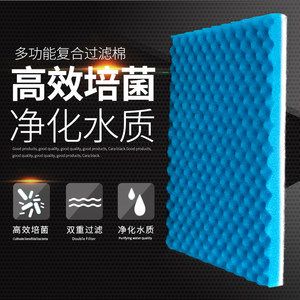 祥龍水族濾材器材（祥龍水族在水族行業(yè)中以其豐富的濾材和器材產(chǎn)品而聞名）
