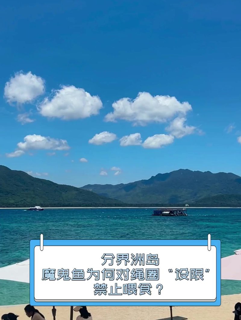 魔鬼魚為何盡量少吃【魔鬼魚為何盡量少吃丁杰生活記,吃魚這3個(gè)部位千萬別吃】