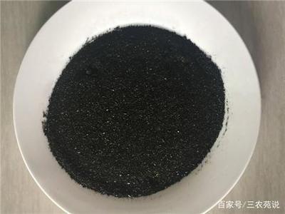 大湖紅龍魚與印尼紅龍魚的差別在哪（大湖紅龍魚對比印尼紅龍魚哪個貴）