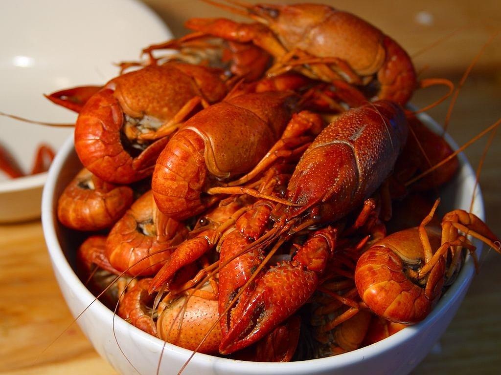 龍魚喂蝦好嗎怎么喂：龍魚喂蝦是一種常見的飼養方式有其優點也有需要注意的地方