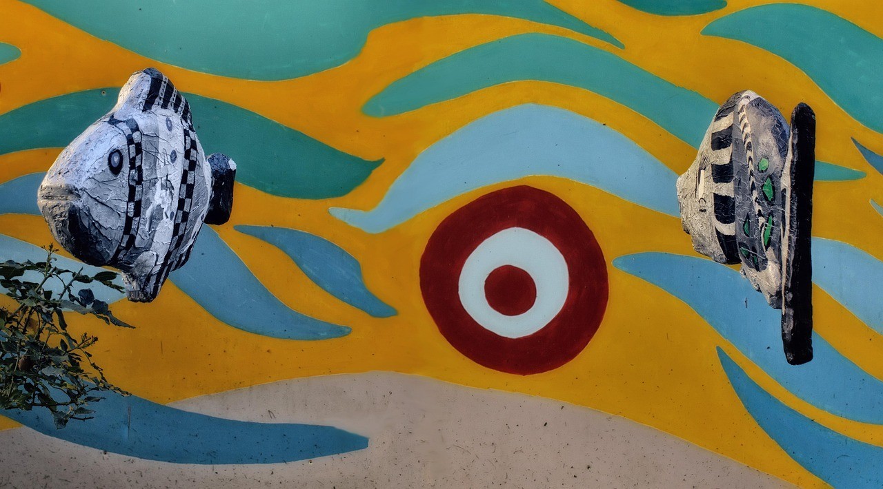 銀龍魚是不是淡水魚（銀龍屬于淡水魚嗎）