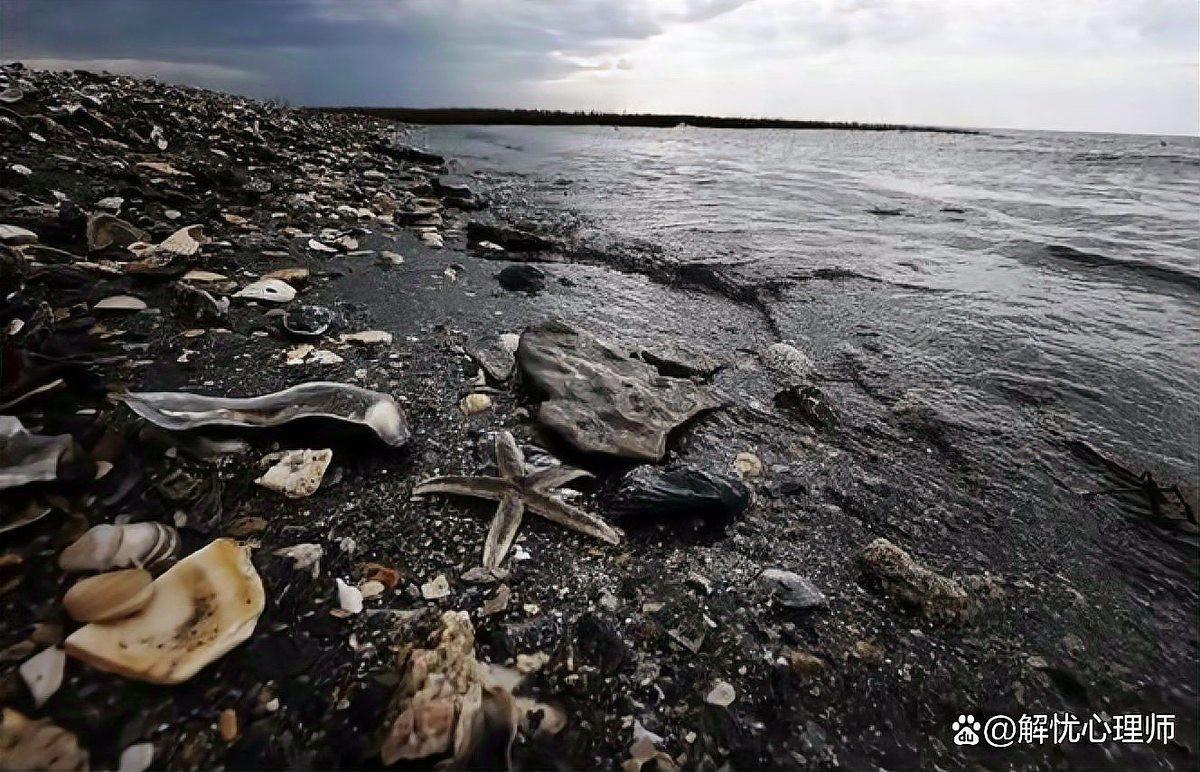銀龍魚是哪個國家的（銀龍魚都是進(jìn)口的嗎）