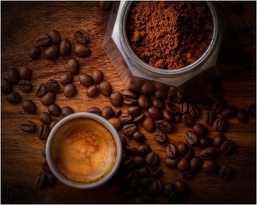 金龍魚醫生：金龍魚治療師，水族世界的心靈療愈者