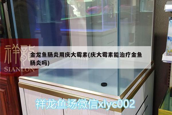 黃金貓魚和招財貓魚和招財貓魚區別圖片對比圖片對比圖