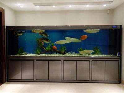 廣州魚缸清洗公司排名如何：廣州魚缸清洗公司哪家好