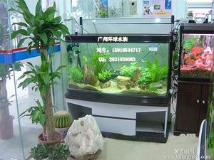 廣州魚缸清洗公司排名如何：廣州魚缸清洗公司哪家好