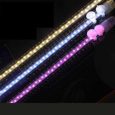 龍魚需要什么顏色的燈泡：龍魚燈光配置與使用指南