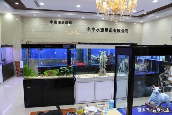 花鳥魚市場的魚缸怎么賣出去的（花鳥魚市場的營銷策略）