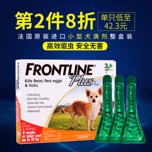 6厘米的虎魚與30厘米的龍魚，小身軀與大世界的生存博弈，6厘米虎魚對決30厘米龍魚，小身軀與大世界的生存博弈