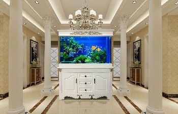 海納利爾魚缸旗艦店（海納利爾魚缸價格）