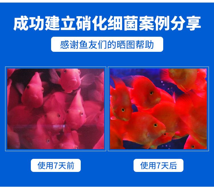 龍魚急救成功案例：龍魚急救成功案例，