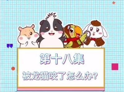 光特億水泵是哪里生產的(光特億產品怎么樣) 光特億水泵是哪里生產的(光特億產品怎么樣) 光特億 第2張