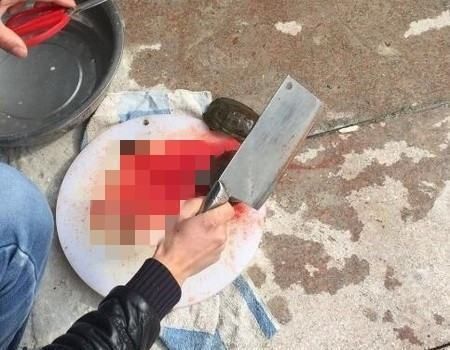 衡陽魚缸定制電話號(hào)碼(衡陽魚缸批發(fā)市場)