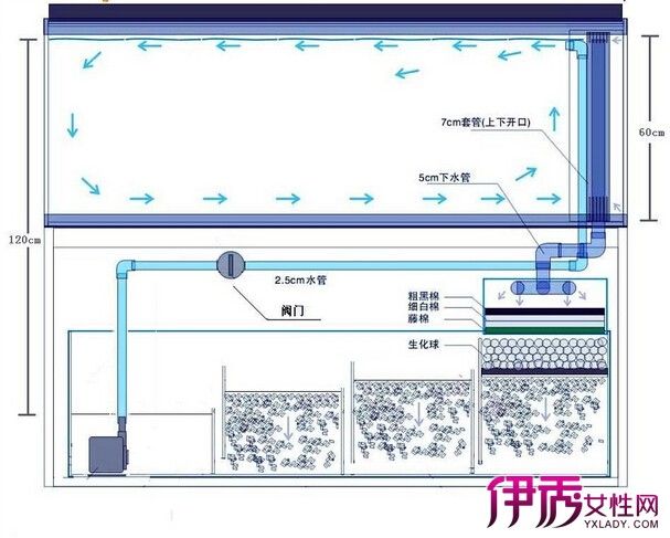 底濾魚缸過濾系統擺放的目的是最大化發揮濾材的效能：底濾魚缸過濾系統擺放圖底濾魚缸過濾系統擺放建議