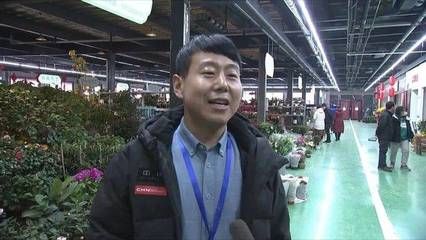 魚缸定制的藝術與科學魚缸不僅僅是一個容器，還需要掌握這些技巧：固安魚缸定制公司