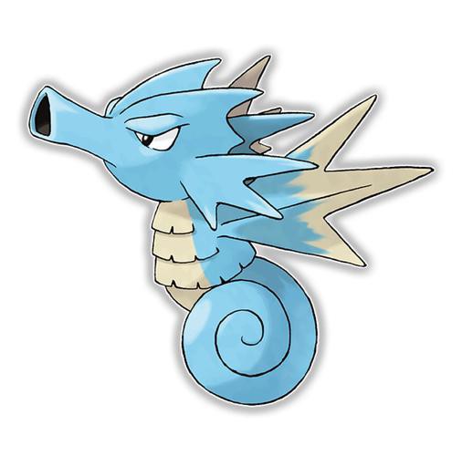 淡水海龍魚的圖片大全