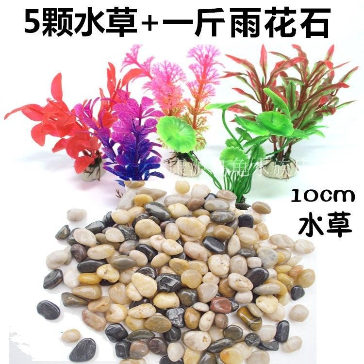 魚缸彩石圖片高清：魚缸彩石搭配水草效果圖