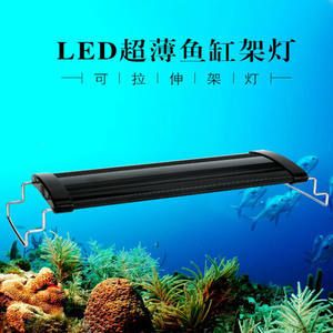 魚缸照明燈選擇與搭配：觀賞魚缸燈光設計的藝術探討魚缸燈光設計的藝術性