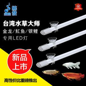 魚缸照明燈選擇與搭配：觀賞魚缸燈光設計的藝術探討魚缸燈光設計的藝術性