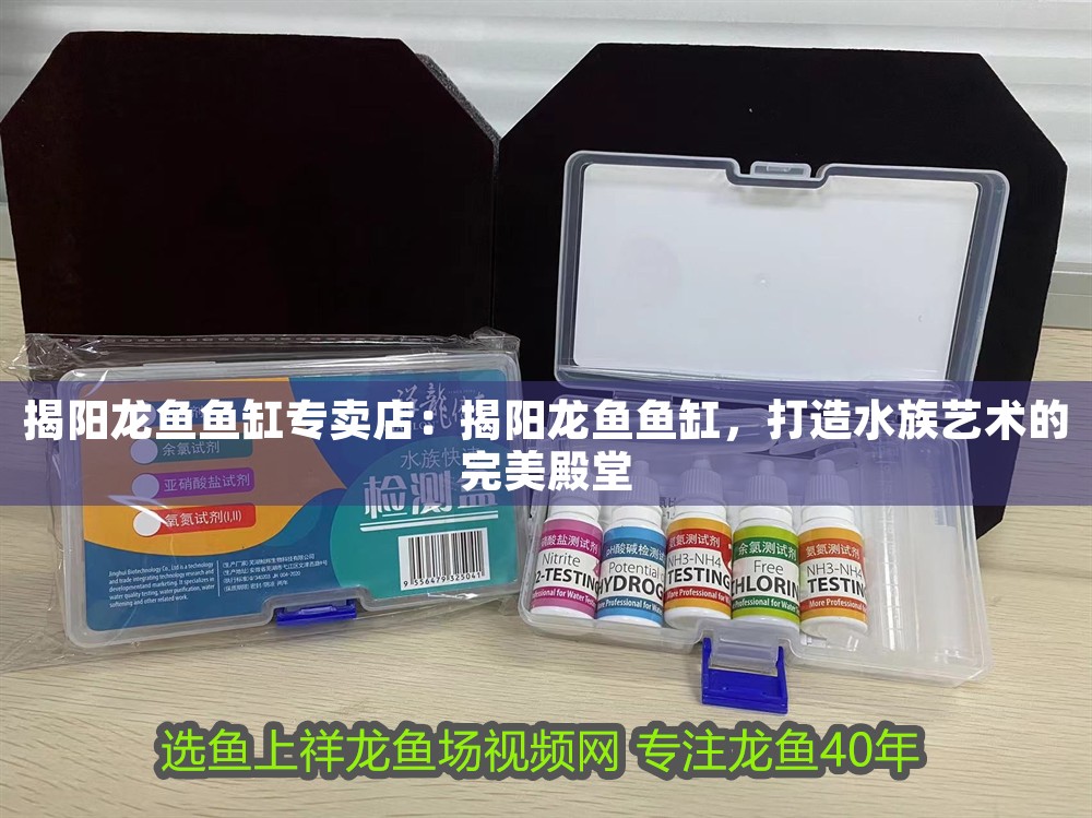 揭陽龍魚魚缸專賣店：揭陽龍魚魚缸，打造水族藝術的完美殿堂