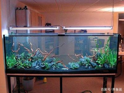 鄭州高新區(qū)劉林觀賞魚經(jīng)營(yíng)部（鄭州高新區(qū)劉林觀賞魚經(jīng)營(yíng)部地址）