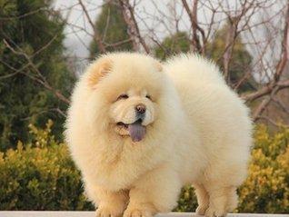 臨夏賣魚缸的地方有哪些店鋪地址 臨夏賣魚缸的地方有哪些店鋪地址電話