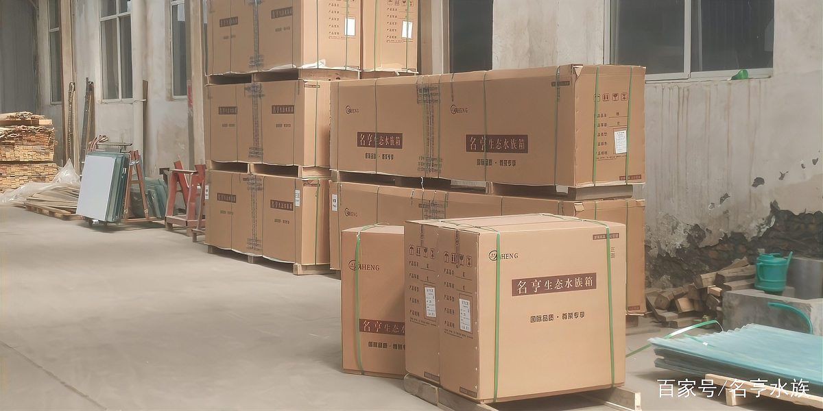 洛陽水族批發市場，探秘洛陽水族批發市場