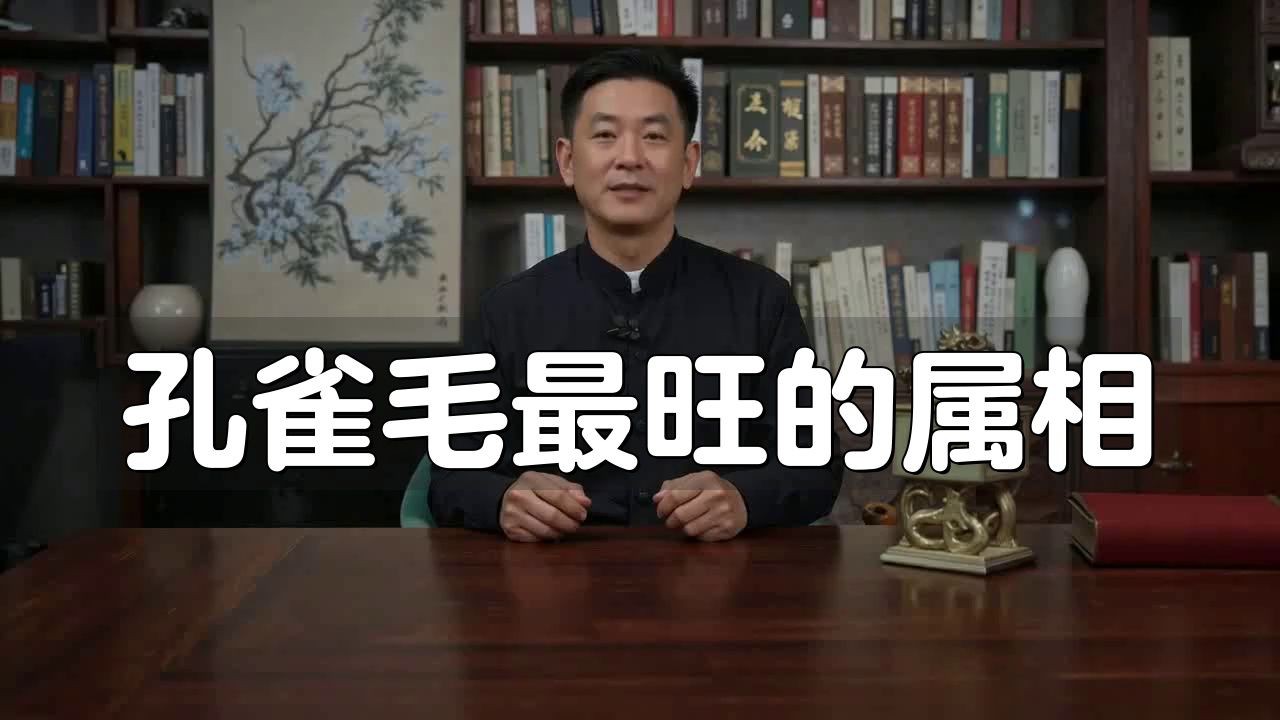 孔雀最保佑三個生肖，《孔雀最保佑三個生肖》