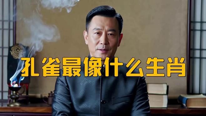 孔雀最保佑三個生肖，《孔雀最保佑三個生肖》