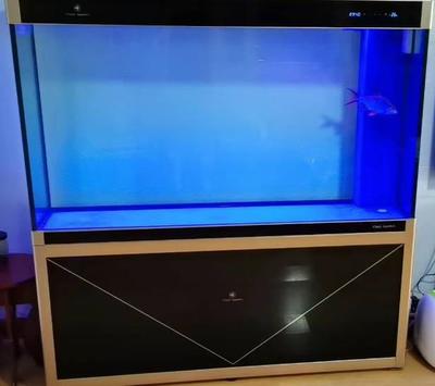 鐵東區(qū)雨林水族生活館（鐵東區(qū)雨林水族生活館地址）