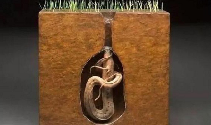 水竹能放魚缸里嗎風(fēng)水好嗎 水竹能放魚缸里嗎風(fēng)水好嗎視頻 新加坡三巴旺 第2張 水竹能放魚缸里嗎風(fēng)水好嗎 水竹能放魚缸里嗎風(fēng)水好嗎視頻 水竹能放魚缸里嗎風(fēng)水好嗎 水竹能放魚缸里嗎風(fēng)水好嗎視頻 新加坡三巴旺 第2張