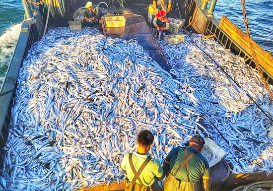 各類(lèi)龍魚(yú)燈測(cè)評(píng)(龍魚(yú)燈光位置示意圖)