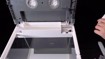 江門市新會區會城彩魚水族坊（江門市新會區會城彩魚水族坊電話）