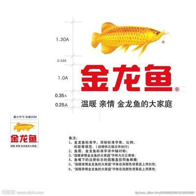 成年金龍魚能長多少厘米：成年金龍魚體長一般在多少？