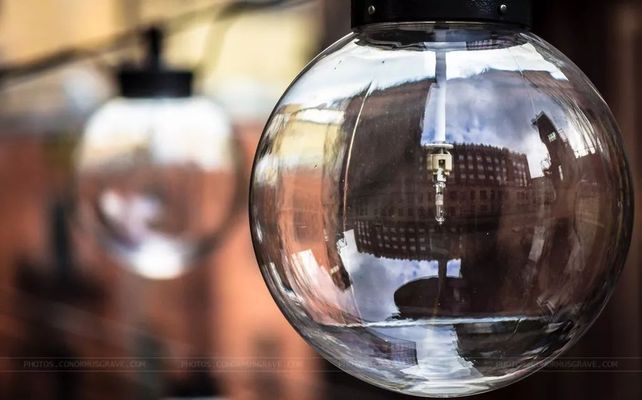 魚缸水渾解決方案，如何選擇適合魚缸的過濾機？魚缸水草養護技巧有哪些？